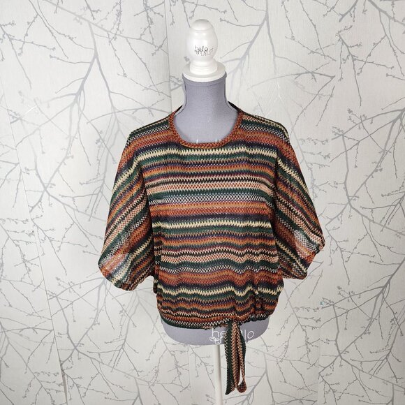 Zara Colorful Chevron Stripe Sheer Batwing Top - Picture 2 of 7